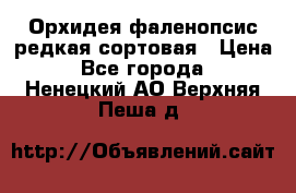 Орхидея фаленопсис редкая сортовая › Цена ­ 800 - Все города  »    . Ненецкий АО,Верхняя Пеша д.